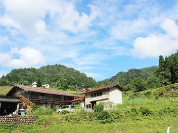 HOLY FUNGUS(株式会社ネオナチュラル)-2