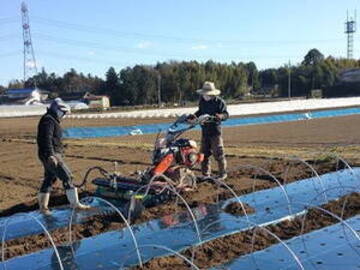 野仲農園(茨城県)-4