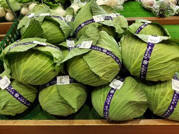 石川ファーム-7