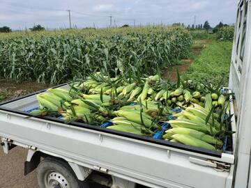 石川ファーム-6