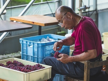 株式会社しもむら農園-3