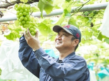 株式会社しもむら農園-6