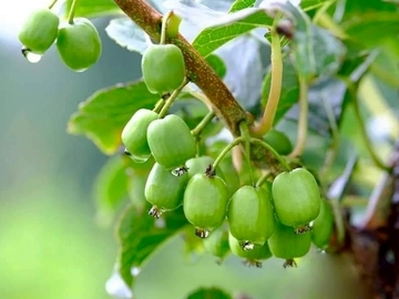 株式会社のうランド-5