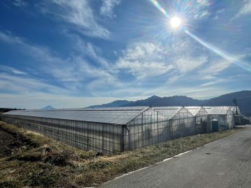 株式会社本多園芸-1