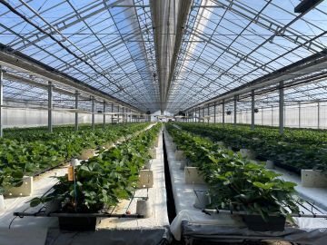 株式会社本多園芸-2