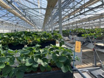 株式会社本多園芸-3