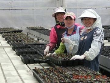 株式会社本多園芸-4