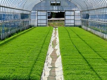 東京都港区×市場開発/法人【42916】-top