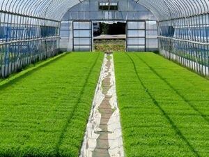 東京都港区×市場開発/法人【42916】-top