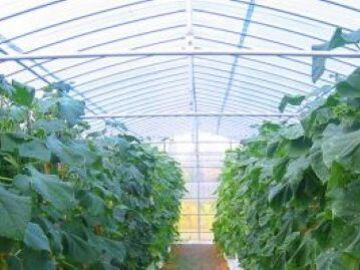 東京都港区×市場開発/法人【42916】-1