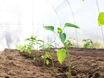 東京都港区×市場開発/法人【42916】-2