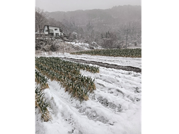 株式会社さんさんふぁーむ-4