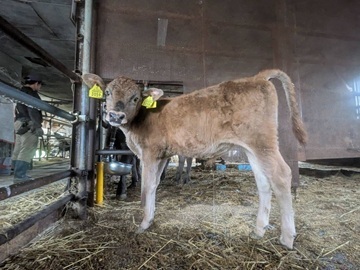 有限会社鷹山ファミリー牧場-3