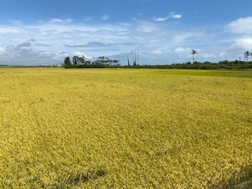 農事組合法人六郷南部実践組合-1
