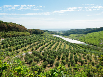 大分県国東市×観光農園/法人【42864】-1