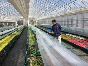 有限会社髙原農芸-top