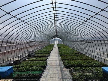 有限会社髙原農芸-2