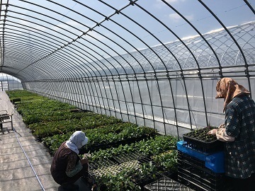 有限会社髙原農芸-4