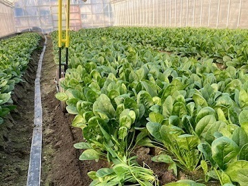 有限会社髙原農芸-6