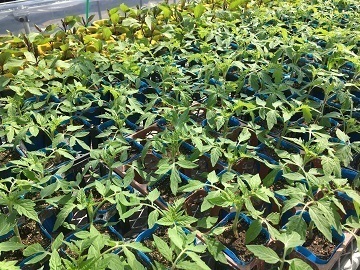 有限会社髙原農芸-7