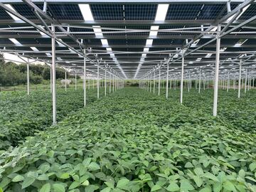 EGファーム株式会社-6