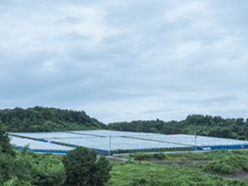 兵庫県三木市(ぶどう生産地域就農 ・定着応援プラン)新規就農希望者募集-1