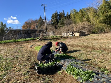 社会福祉法人青い鳥福祉会(障害者支援施設あかつき園)-2
