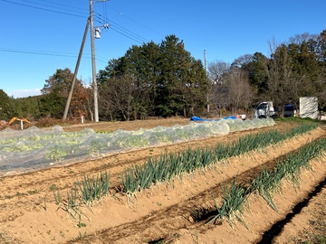 社会福祉法人青い鳥福祉会(障害者支援施設あかつき園)-3