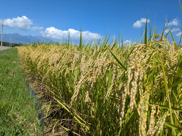 有限会社米耕農-5