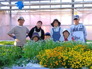 株式会社クレオ-top