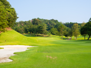 藤枝ゴルフクラブ-top