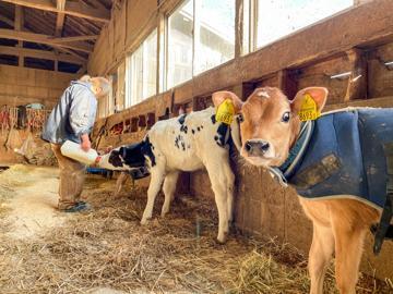 合同会社加藤牧場-top