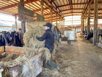 合同会社加藤牧場-3