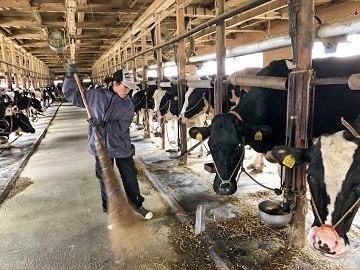 合同会社加藤牧場-5