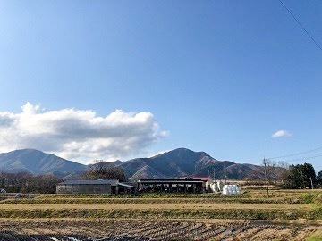 合同会社加藤牧場-8