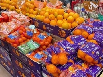 神奈川県横浜市×営業/法人【42930】-1