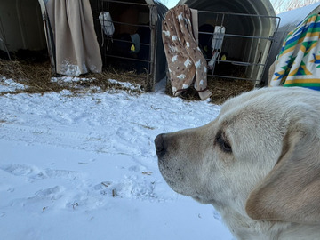 株式会社武野牧場-5