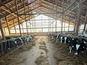 株式会社武野牧場-top