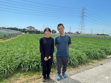 チャイナベジタブル 石原-top