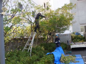 株式会社ゼンリョク-7