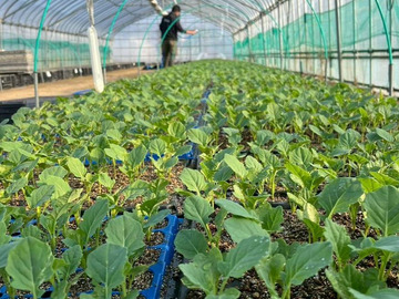 株式会社アドバンファームしばた-2