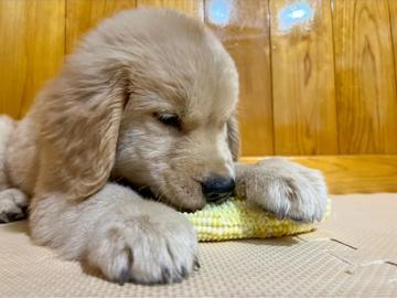 合同会社のうしん-7