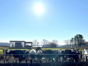 北海道鶴居村×酪農/法人【40794】-top