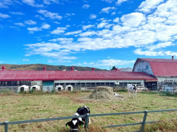 北海道鶴居村×酪農/法人【40794】-2