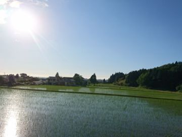 株式会社いたやま純心村-1