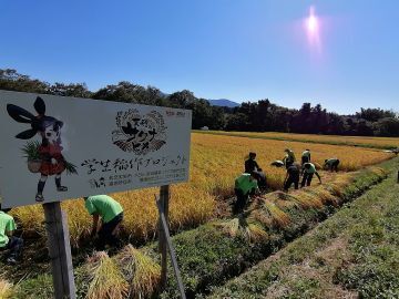 株式会社いたやま純心村-4