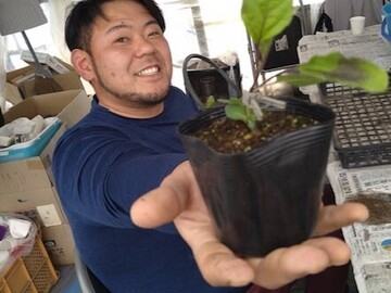 山形県村山市 令和8年度地域おこし協力隊(農業振興分野)募集-1