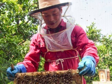 みつばちのーと-8