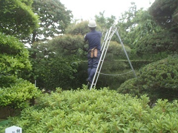 株式会社藤雅園-1