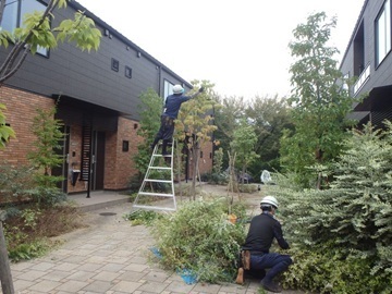 株式会社藤雅園-top